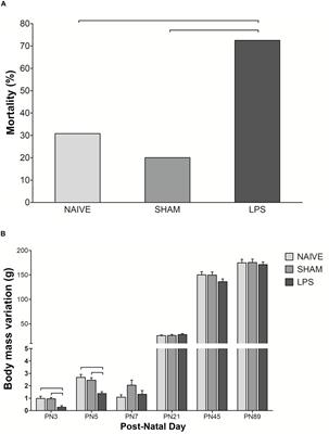 Lipopolysaccharide-Induced Systemic Inflammation in the Neonatal Period Increases Microglial Density and Oxidative Stress in the Cerebellum of Adult Rats